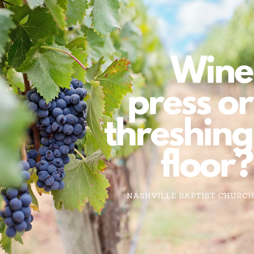 Wine Press or Threshing Floor?