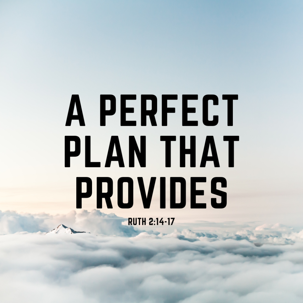 A Perfect Plan that Provides