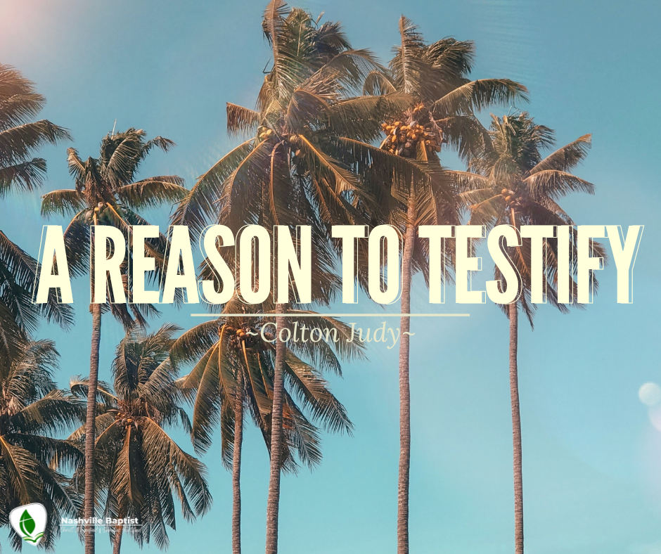 A Reason To Testify